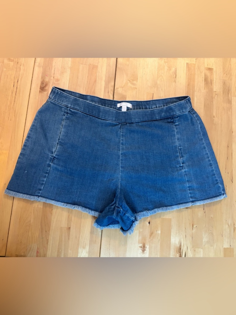 LC Lauren Conrad Blue Frayed Hem Denim Shorts